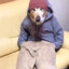 Puppy