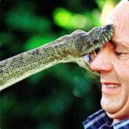 kemo k. stuff - steam id 76561197970992562