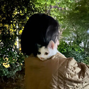 可以说话但没必要