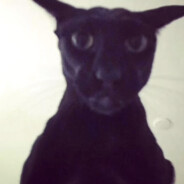 RICKY's avatar