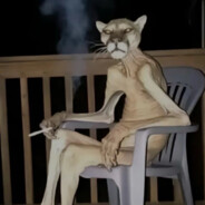 Neb