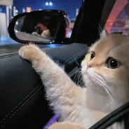 长得帅难免会变菜