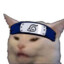 supm8