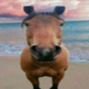 ketamine tester 🐴