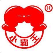 小霸王其乐无穷Oo