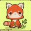 RED PANDA