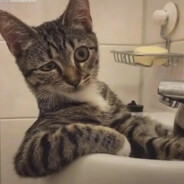 回忆如烟烟如梦