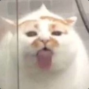 一枝梨花压海棠