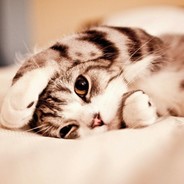 我给你买橘子去