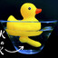 dil_duck