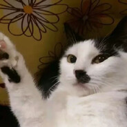 希儿会保护大家的