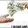 i accept cash