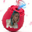 Orela Rose Toy