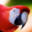 Macaw's avatar