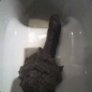 Louistiti - steam id 76561197960405782