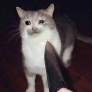 新西兰进口切糕