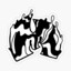mvr