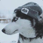 炒鸡智的帅阿花