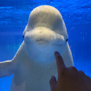 打架少个人舔包多张嘴