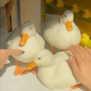 𝕟𝟙𝕜𝕦𝕝𝕔𝕙𝕒