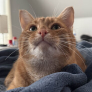 why he got a tootsie roll