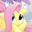 Fluttershy