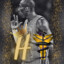 H Mamba
