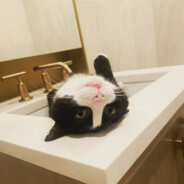 在小小的花园里面挖呀挖呀挖