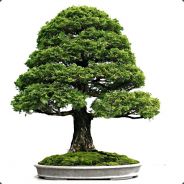 Bonsaibaum