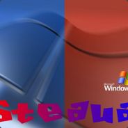 freelancer  /̵͇̿/'̿-̅-̅-'