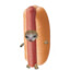 Sweaty Hotdog