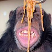 sugriva the monkey