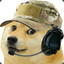 OPERATOR DOGE