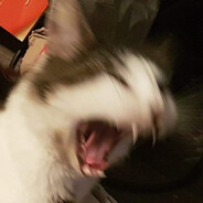 Kamikatze