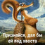 газ альтушкам лиз