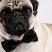 SMURF ACC DOWN TO THROW