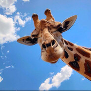 Zz - steam id 76561199799758874