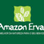 Amazon Ervas