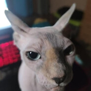 Yilaw - steam id 76561198390235487