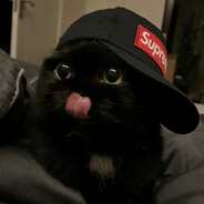 katzsl
