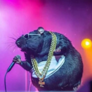 ENCHILADAS DE YAKULT