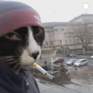 iri$ meow meow
