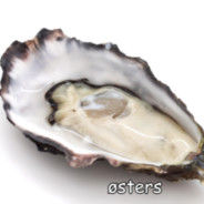 Østers