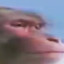 MONKE