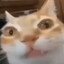 suun