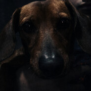 ☞ó ͜つò☞ кℓαυѕ