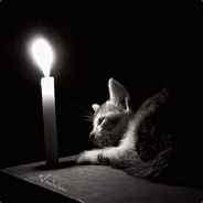 我可能是很喜欢你