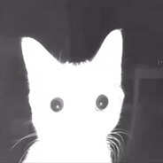 Mimic - steam id 76561199489690532