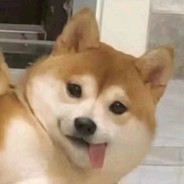 PLS.我们都是天线宝宝丫