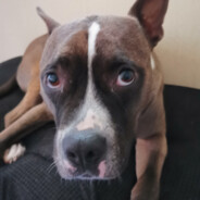 †♥Major Locke♥†